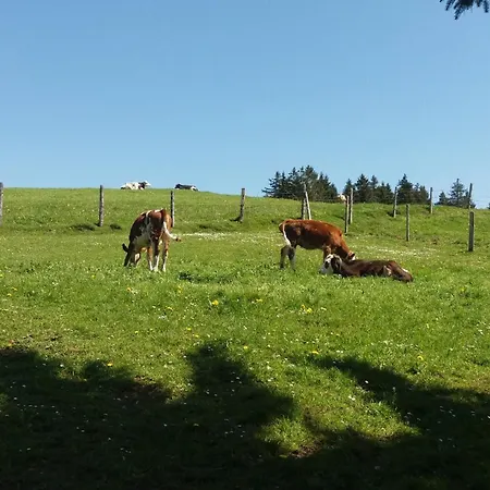 Hansihof Im Allgaeu Apartamento *