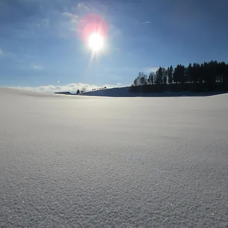 Hansihof Im Allgaeu *