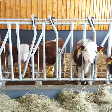 Hansihof Im Allgaeu Appartamento