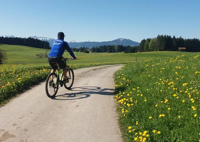 Hansihof Im Allgaeu Apartmán