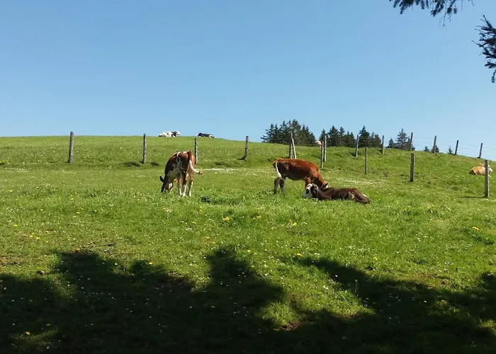 Hansihof Im Allgäu Apartment *